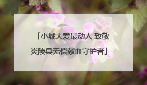 小城大爱最动人 致敬炎陵县无偿献血守护者