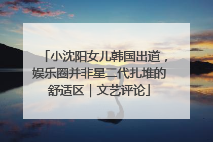 小沈阳女儿韩国出道，娱乐圈并非星二代扎堆的舒适区｜文艺评论