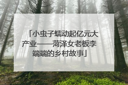小虫子蠕动起亿元大产业——菏泽女老板李端端的乡村故事