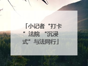 小记者“打卡”法院 “沉浸式”与法同行