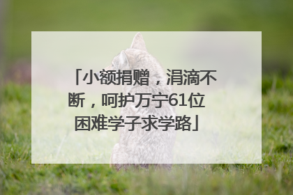 小额捐赠，涓滴不断，呵护万宁61位困难学子求学路