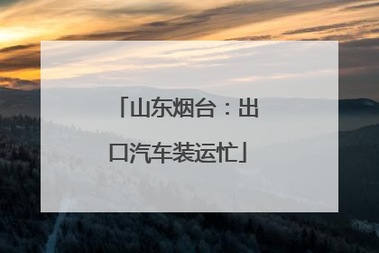 山东烟台：出口汽车装运忙