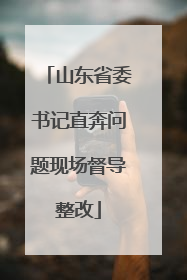 山东省委书记直奔问题现场督导整改
