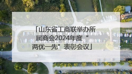 山东省工商联举办所属商会2024年度“两优一先”表彰会议
