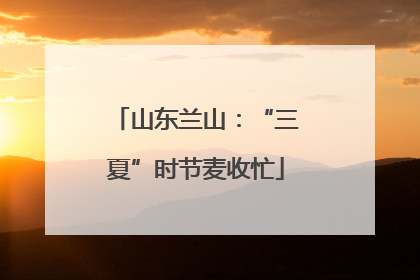 山东兰山：“三夏”时节麦收忙
