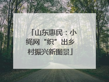 山东惠民：小绳网“织”出乡村振兴新图景