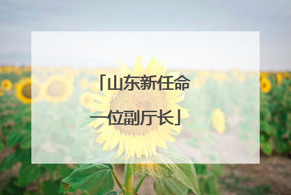 山东新任命一位副厅长