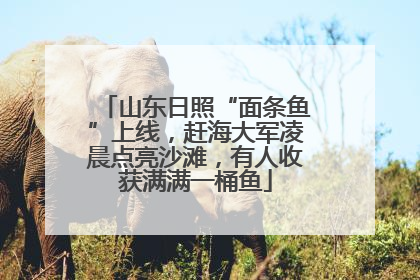 山东日照“面条鱼”上线，赶海大军凌晨点亮沙滩，有人收获满满一桶鱼