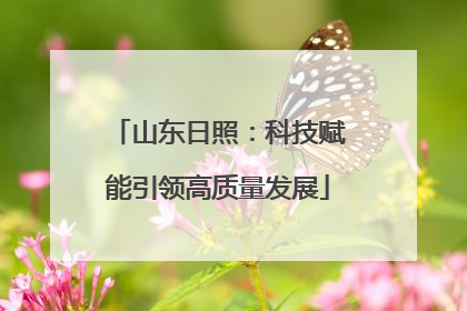 山东日照：科技赋能引领高质量发展