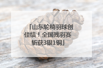 山东轮椅羽球创佳绩！全国残羽赛斩获3银1铜