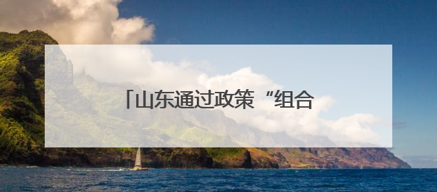 山东通过政策“组合拳”靶向发力 推动民营经济高质量发展