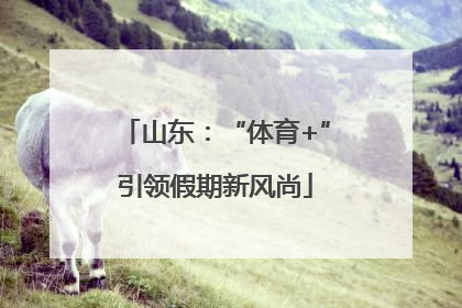 山东：“体育+”引领假期新风尚