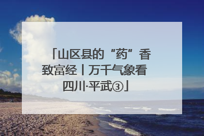 山区县的“药”香致富经丨万千气象看四川·平武③