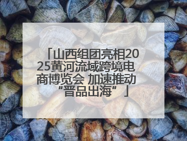 山西组团亮相2025黄河流域跨境电商博览会 加速推动“晋品出海”