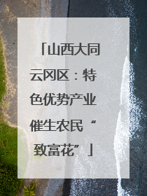 山西大同云冈区：特色优势产业催生农民“致富花”