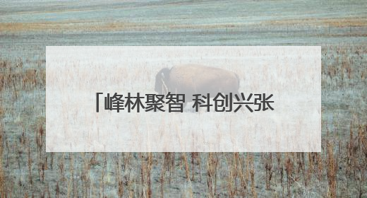 峰林聚智 科创兴张丨张家界旅典文化经营有限公司博士创新站：让土家织锦“智”造出非遗新传奇