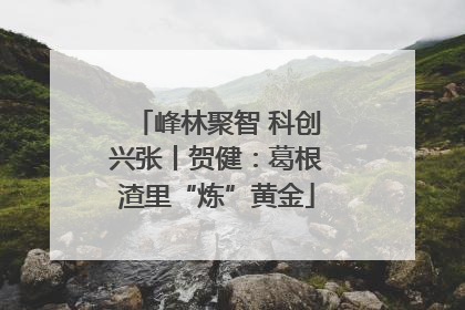 峰林聚智 科创兴张丨贺健：葛根渣里“炼”黄金