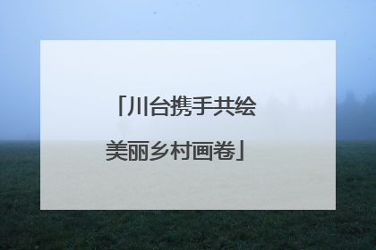 川台携手共绘美丽乡村画卷