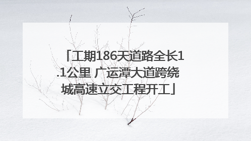 工期186天道路全长1.1公里 广运潭大道跨绕城高速立交工程开工