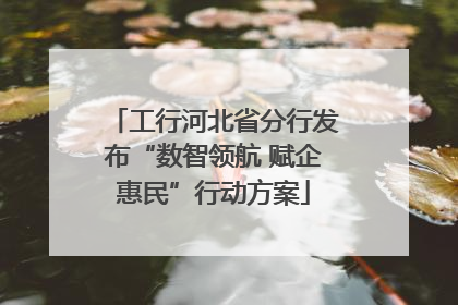 工行河北省分行发布“数智领航 赋企惠民”行动方案