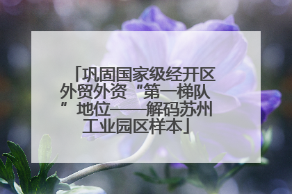 巩固国家级经开区外贸外资“第一梯队”地位——解码苏州工业园区样本