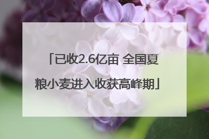 已收2.6亿亩 全国夏粮小麦进入收获高峰期
