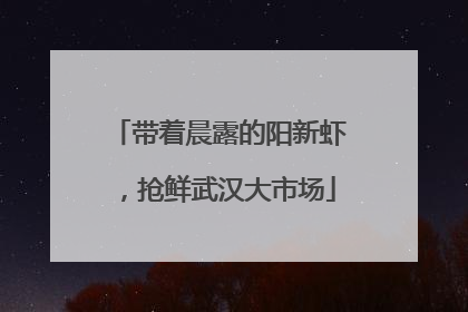 带着晨露的阳新虾，抢鲜武汉大市场