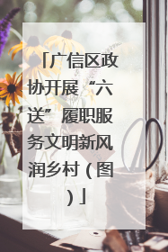 广信区政协开展“六送”履职服务文明新风润乡村（图）
