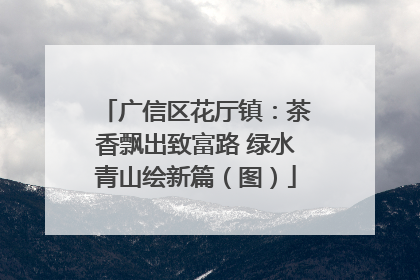 广信区花厅镇：茶香飘出致富路 绿水青山绘新篇（图）