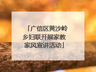 广信区黄沙岭乡妇联开展家教家风宣讲活动