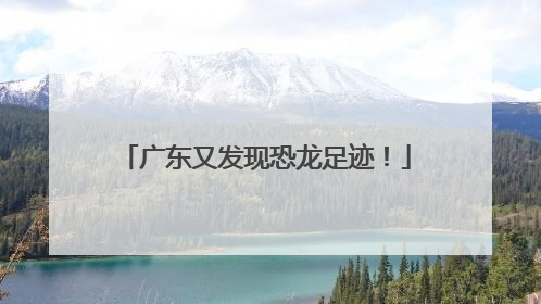 广东又发现恐龙足迹！