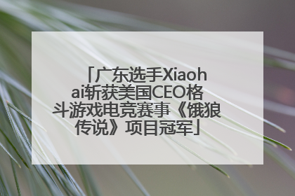 广东选手Xiaohai斩获美国CEO格斗游戏电竞赛事《饿狼传说》项目冠军