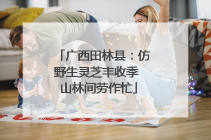 广西田林县：仿野生灵芝丰收季 山林间劳作忙