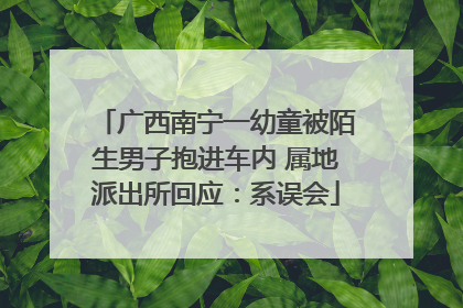 广西南宁一幼童被陌生男子抱进车内 属地派出所回应：系误会
