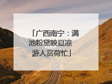 广西南宁：满池粉黛映夏凉 游人赏荷忙