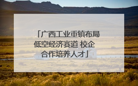 广西工业重镇布局低空经济赛道 校企合作培养人才