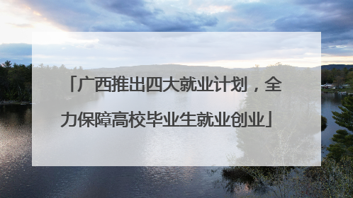 广西推出四大就业计划，全力保障高校毕业生就业创业