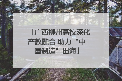 广西柳州高校深化产教融合 助力“中国制造”出海