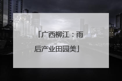 广西柳江：雨后产业田园美