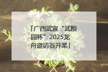 广西武宣“武粮园杯”2025龙舟邀请赛开桨