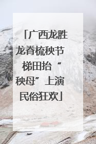广西龙胜龙脊梳秧节 梯田抬“秧母”上演民俗狂欢