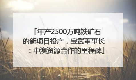 年产2500万吨铁矿石的新项目投产，宝武董事长：中澳资源合作的里程碑