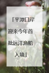 平潭口岸迎来今年首批远洋渔船入境