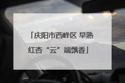庆阳市西峰区 早熟红杏“云”端飘香