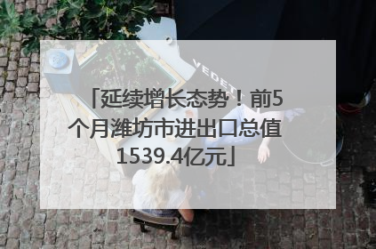 延续增长态势！前5个月潍坊市进出口总值1539.4亿元