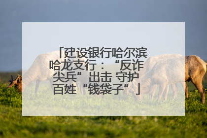 建设银行哈尔滨哈龙支行：“反诈尖兵”出击 守护百姓“钱袋子”