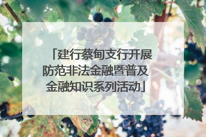 建行蔡甸支行开展防范非法金融暨普及金融知识系列活动