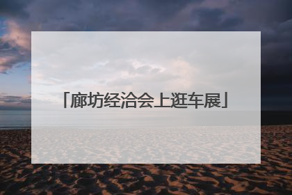 廊坊经洽会上逛车展