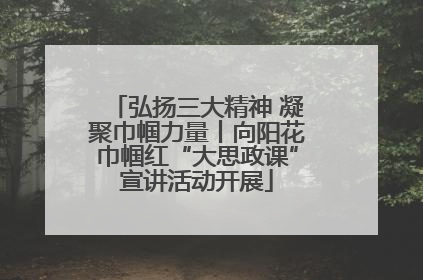 弘扬三大精神 凝聚巾帼力量丨向阳花巾帼红“大思政课”宣讲活动开展