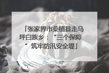 张家界市桑植县走马坪白族乡：“三个保障”筑牢防汛安全堤